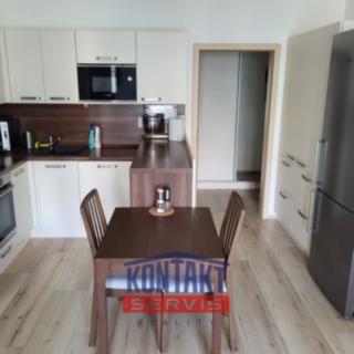 Pronájem bytu 3+kk 64 m² České Budějovice 2, Na Zlaté stoce