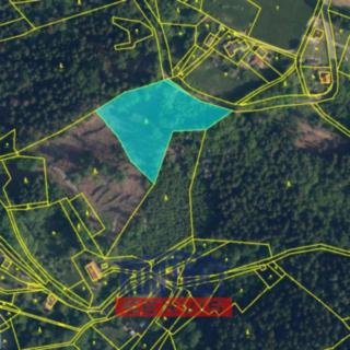 Prodej lesa 6 802 m² Železný Brod Bzí