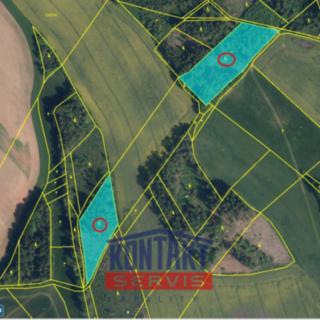 Prodej lesa 10427 m² Nová Ves nad Popelkou