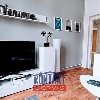Pronájem bytu 1+1 47 m² České Budějovice 3, Resslova