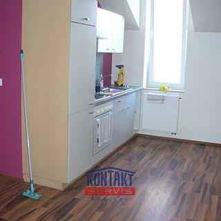 Pronájem bytu 1+kk a garsoniéry 37 m² České Budějovice 3