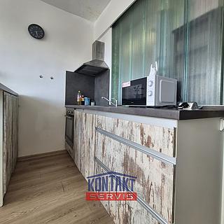 Pronájem bytu 1+kk a garsoniéry 21 m² České Budějovice, Puklicova