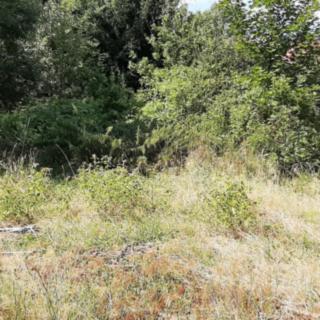 Prodej komerčního pozemku 6924 m² Plesná