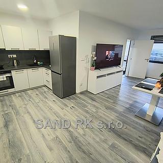 Pronájem bytu 1+kk, garsoniery 42 m² Domažlice