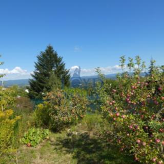 Prodej zahrady 738 m² Karlovy Vary
