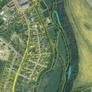 Prodej lesa 1 554 m² Blovice Hradiště