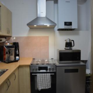 Pronájem bytu 2+1 42 m² Plzeň Východní Předměstí, Guldenerova