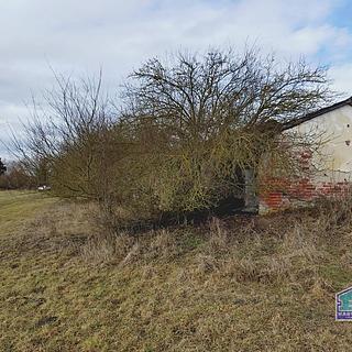 Prodej zemědělského objektu 144 m² Kotovice Nový
