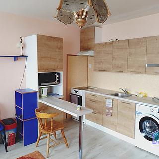 Pronájem bytu 1+kk a garsoniéry 31 m² Plzeň Bolevec, Žlutická