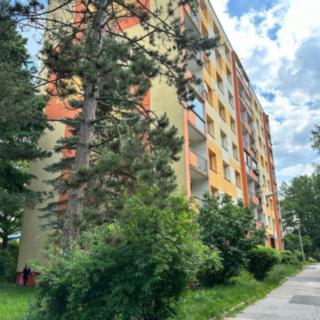 Pronájem bytu 1+1 34 m² Děčín