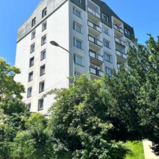 Prodej bytu 2+1 50 m² Děčín IX-Bynov, Na Pěšině