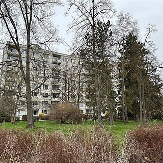 Prodej bytu 1+1 36 m² Děčín III-Staré Město, Oblouková