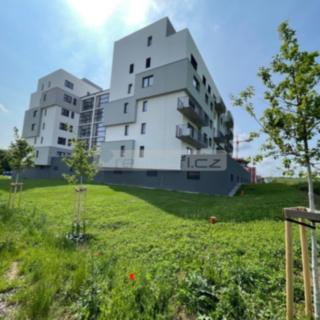 Pronájem bytu 2+kk 55 m² Plzeň