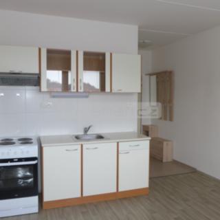 Pronájem bytu 1+kk a garsoniéry 20 m² Plzeň Doubravka, Mohylová