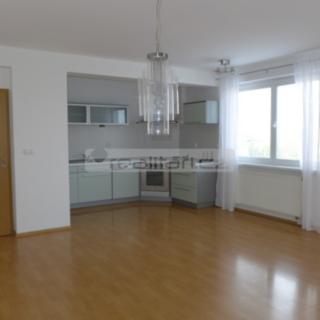 Pronájem bytu 3+kk 105 m² Plzeň