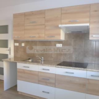 Pronájem bytu 2+1 50 m² Dýšina, Jižní