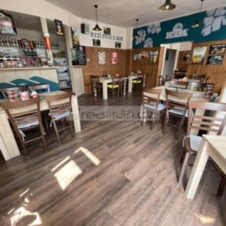 Pronájem Ostatních komerčních prostor 231 m² Plzeň