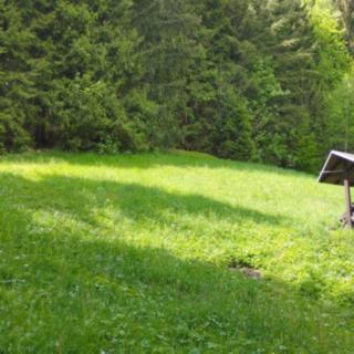 Prodej stavební parcely 7 310 m² Tanvald, Česká