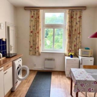 Pronájem bytu 1+1 40 m² Praha Žižkov, Hartigova