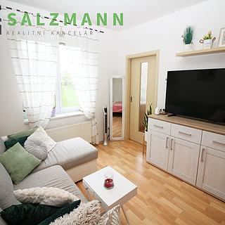 Pronájem bytu 1+1 39 m² Plzeň Skvrňany, U Dráhy