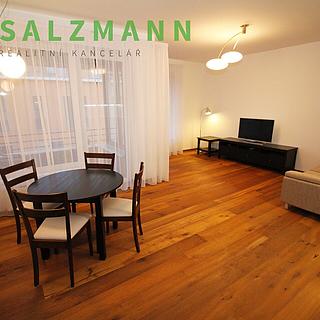 Prodej bytu 2+kk 57 m² Plzeň Jižní Předměstí, Divadelní