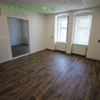 Pronájem kanceláře 80 m² Plzeň Východní Předměstí, Wenzigova