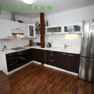 Pronájem bytu 2+kk 59 m² Plzeň Jižní Předměstí, Škroupova