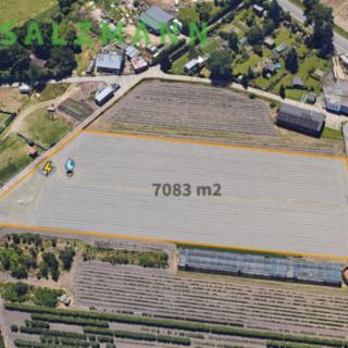 Prodej zemědělské půdy 7 083 m² Plzeň, Radčická