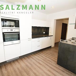 Pronájem bytu 3+kk 54 m² Plzeň, Rokycanská