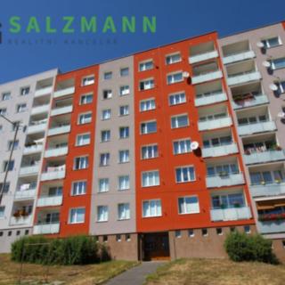 Pronájem bytu 1+1 46 m² Plzeň Bolevec, K Pecím