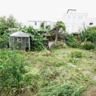 Prodej zahrady 257 m² Jaroměř