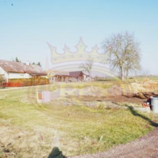 Prodej stavební parcely 1335 m² Dubenec