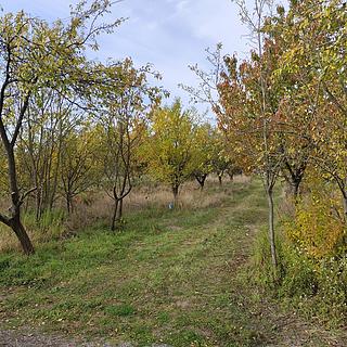 Prodej stavební parcely 1651 m² Újezd u Brna