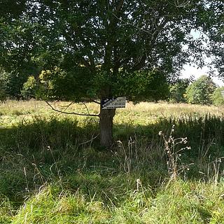 Prodej stavební parcely 2 005 m² Stožec