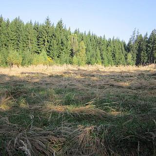 Prodej lesa 70 320 m² Psárov Tříklasovice