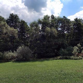 Dražba zemědělské půdy 18795 m&sup2; Sviny