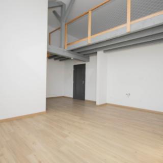 Prodej bytu 1+kk a garsoniéry 60 m² Písek Pražské Předměstí