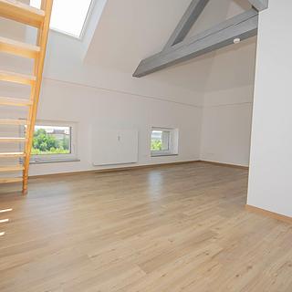 Prodej bytu 1+kk a garsoniéry 53 m² Písek Pražské Předměstí