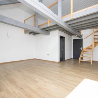 Prodej bytu 1+kk a garsoniéry 52 m² Písek Pražské Předměstí