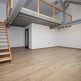 Prodej bytu 1+kk a garsoniéry 65 m² Písek Pražské Předměstí