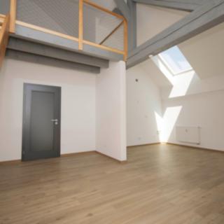 Prodej bytu 1+kk a garsoniéry 52 m² Písek Pražské Předměstí