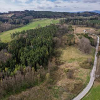 Prodej lesa 51051 m² Stožice