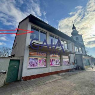 Prodej obchodu 307 m² Staré Město pod Landštejnem