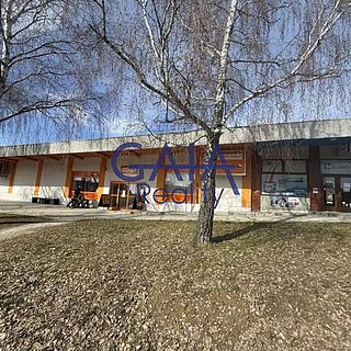 Prodej obchodu 600 m&sup2; Dačice