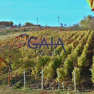 Prodej ostatního pozemku 957 m² Bukovany