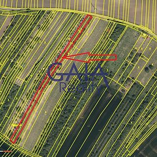 Prodej zemědělské půdy 2942 m&sup2; Svatobořice-Mistřín