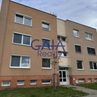 Pronájem bytu 3+1 91 m² Hodonín, Lesní