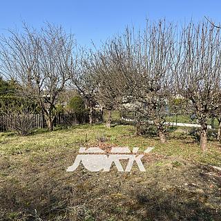 Prodej zahrady 319 m² Pardubice Nemošice