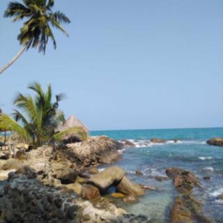 Prodej Ostatních komerčních prostor, 250m²