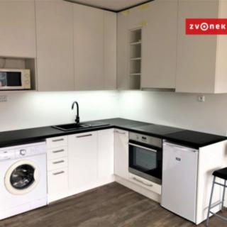 Pronájem bytu 1+kk a garsoniéry 30 m² Zlín, Ševcovská
